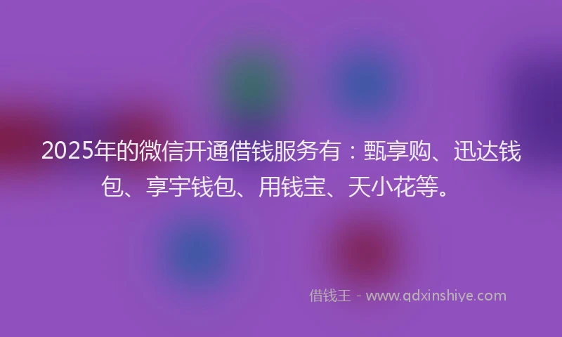 2025年的微信开通借钱服务有：甄享购、迅达钱包、享宇钱包、用钱宝、天小花等。
