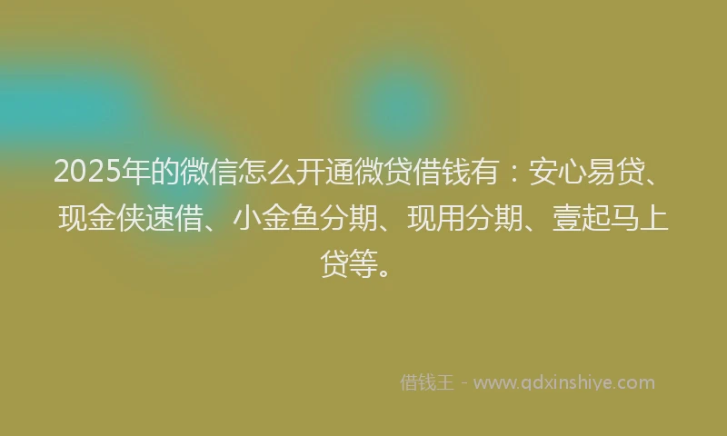 2025年的微信怎么开通微贷借钱有：安心易贷、现金侠速借、小金鱼分期、现用分期、壹起马上贷等。
