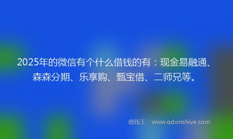 2025年的微信有个什么借钱的有：现金易融通、森森分期、乐享购、甄宝借、二师兄等。