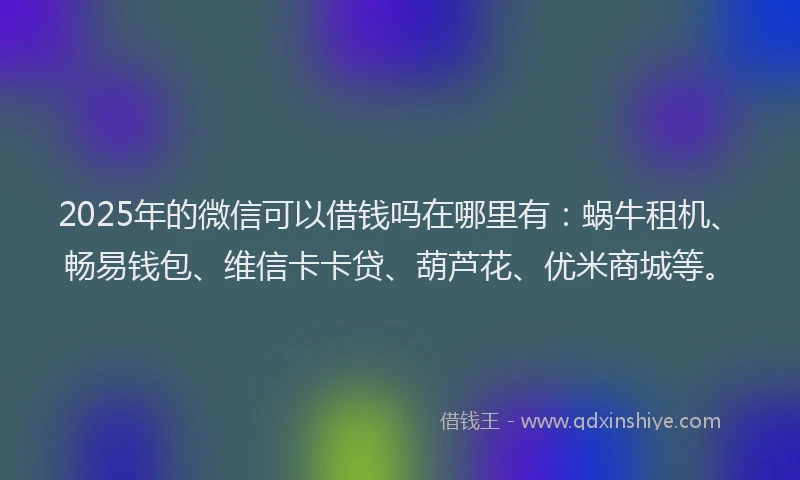 2025年的微信可以借钱吗在哪里有：蜗牛租机、畅易钱包、维信卡卡贷、葫芦花、优米商城等。