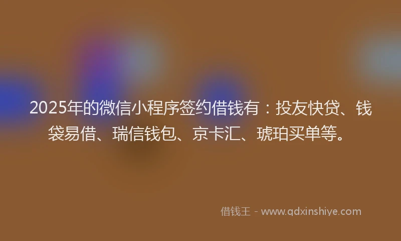 2025年的微信小程序签约借钱有：投友快贷、钱袋易借、瑞信钱包、京卡汇、琥珀买单等。