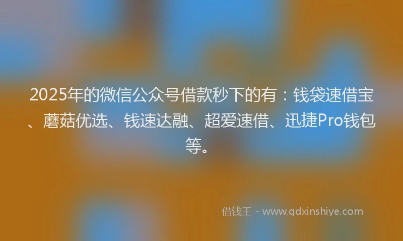 2025年的微信公众号借款秒下的有：钱袋速借宝、蘑菇优选、钱速达融、超爱速借、迅捷Pro钱包等。
