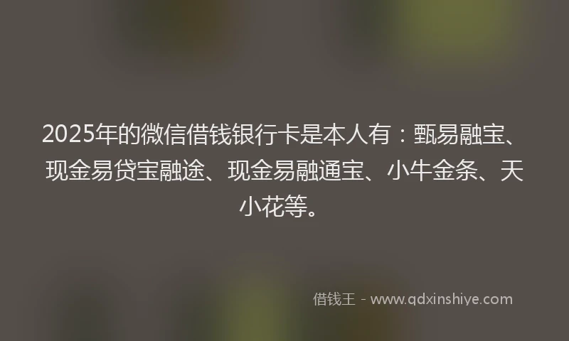 2025年的微信借钱银行卡是本人有：甄易融宝、现金易贷宝融途、现金易融通宝、小牛金条、天小花等。