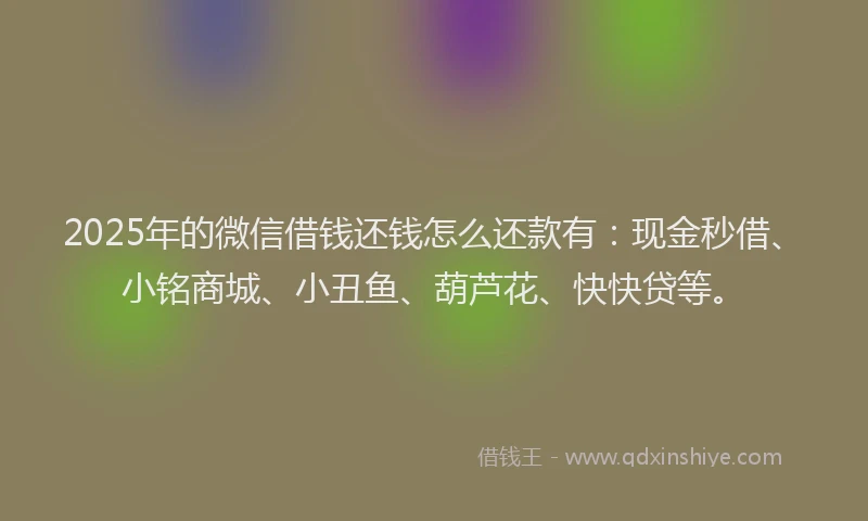 2025年的微信借钱还钱怎么还款有：现金秒借、小铭商城、小丑鱼、葫芦花、快快贷等。