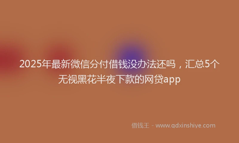2025年最新微信分付借钱没办法还吗，汇总5个无视黑花半夜下款的网贷app