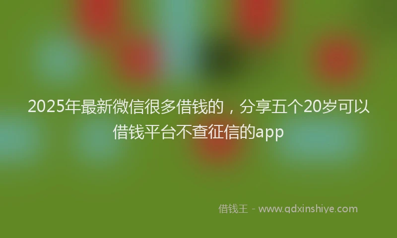 2025年最新微信很多借钱的，分享五个20岁可以借钱平台不查征信的app