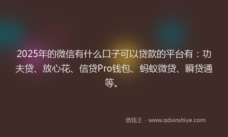 2025年的微信有什么口子可以贷款的平台有：功夫贷、放心花、信贷Pro钱包、蚂蚁微贷、瞬贷通等。