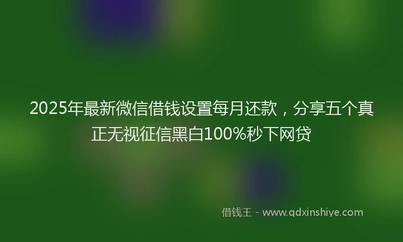 2025年最新微信借钱设置每月还款，分享五个真正无视征信黑白100%秒下网贷