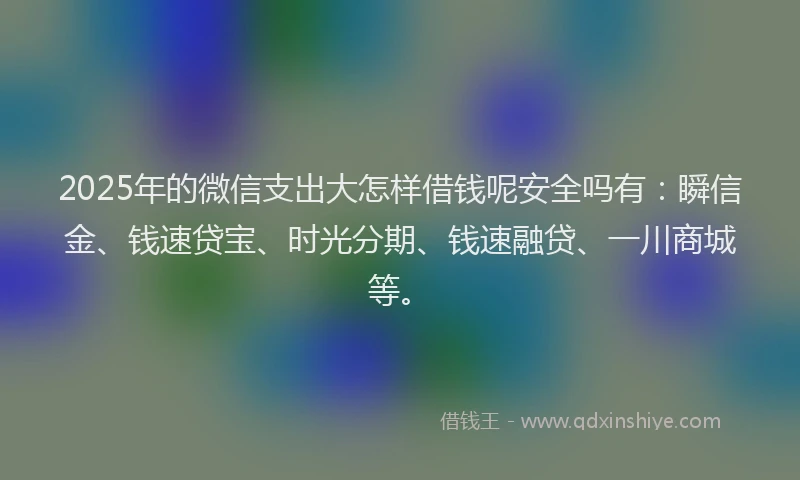 2025年的微信支出大怎样借钱呢安全吗有：瞬信金、钱速贷宝、时光分期、钱速融贷、一川商城等。