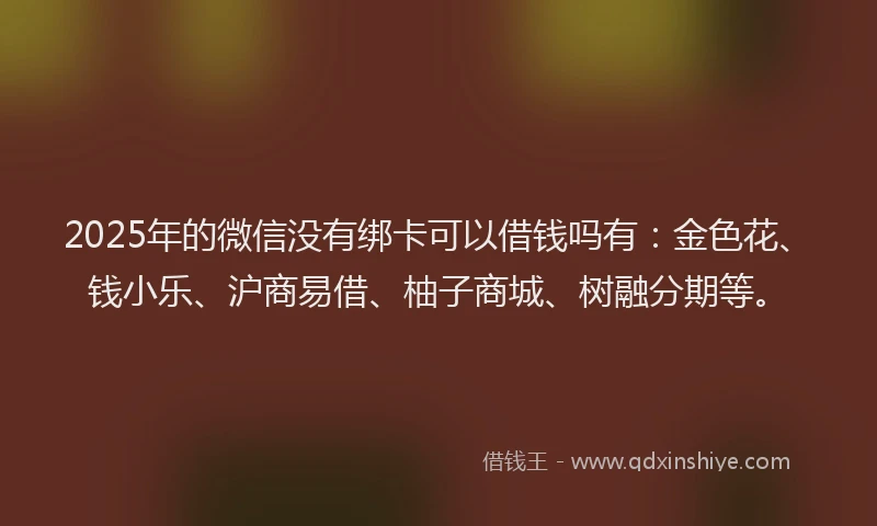 2025年的微信没有绑卡可以借钱吗有：金色花、钱小乐、沪商易借、柚子商城、树融分期等。