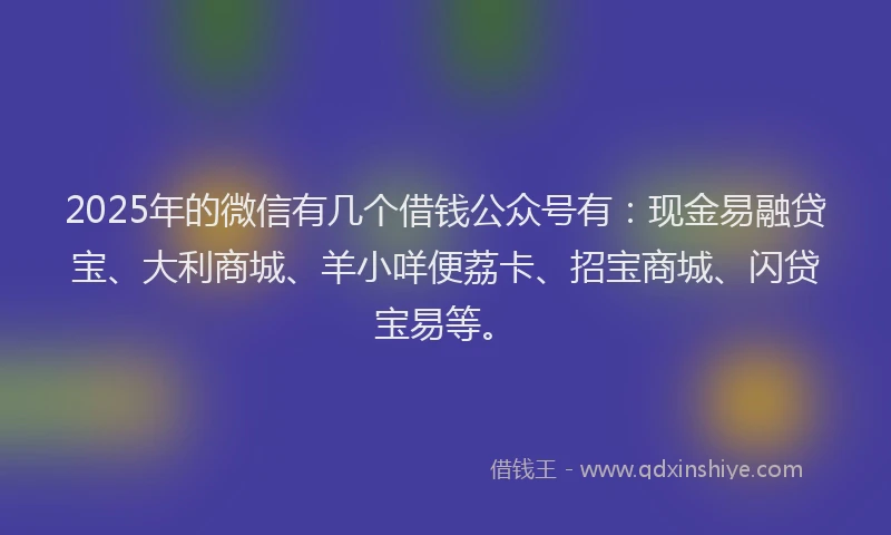 2025年的微信有几个借钱公众号有：现金易融贷宝、大利商城、羊小咩便荔卡、招宝商城、闪贷宝易等。
