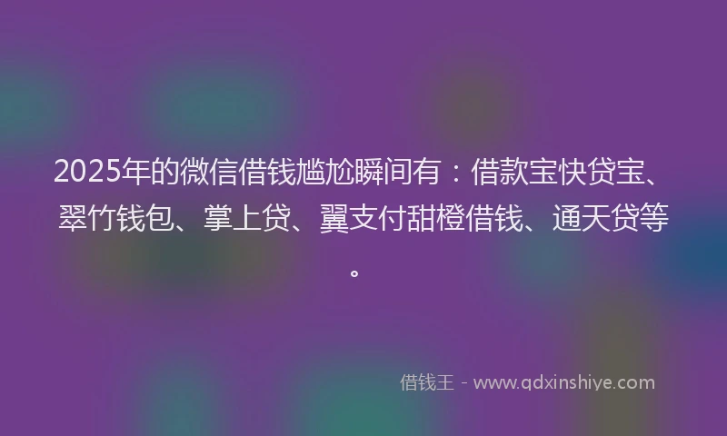 2025年的微信借钱尴尬瞬间有：借款宝快贷宝、翠竹钱包、掌上贷、翼支付甜橙借钱、通天贷等。