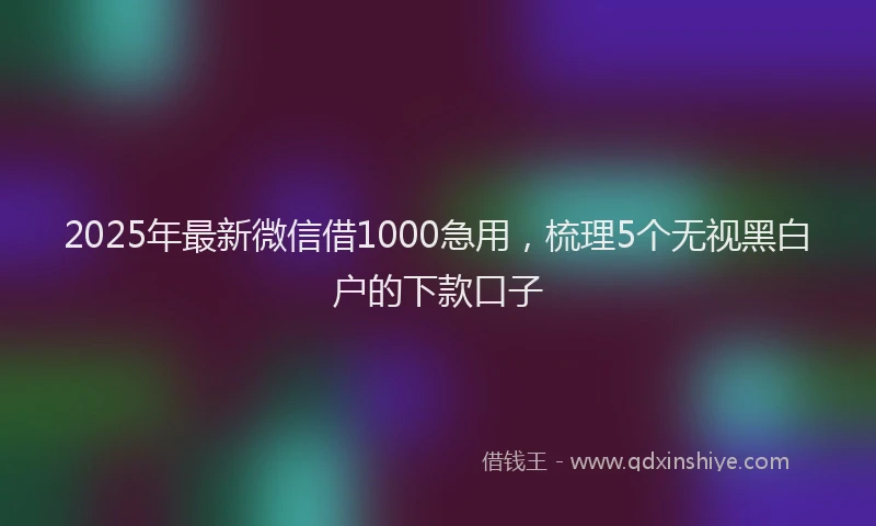 2025年最新微信借1000急用，梳理5个无视黑白户的下款口子