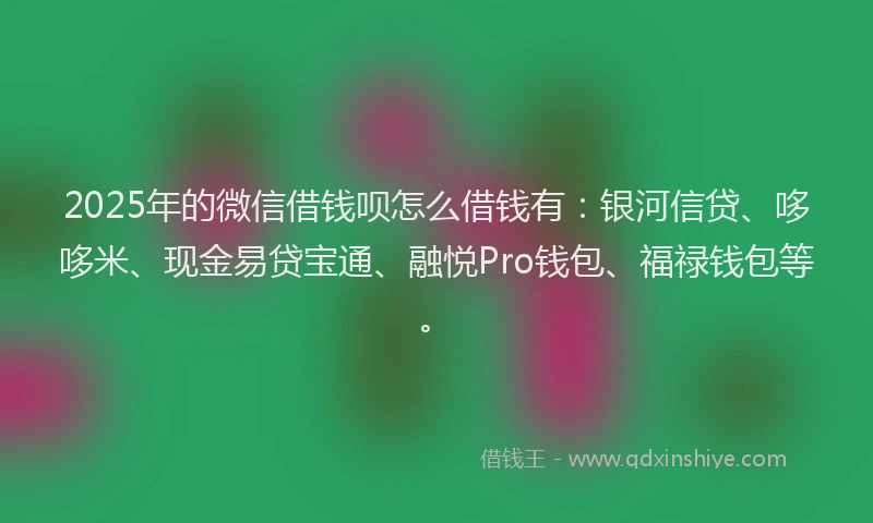 2025年的微信借钱呗怎么借钱有：银河信贷、哆哆米、现金易贷宝通、融悦Pro钱包、福禄钱包等。