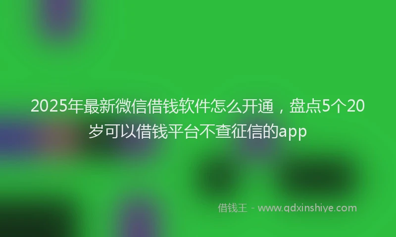 2025年最新微信借钱软件怎么开通，盘点5个20岁可以借钱平台不查征信的app