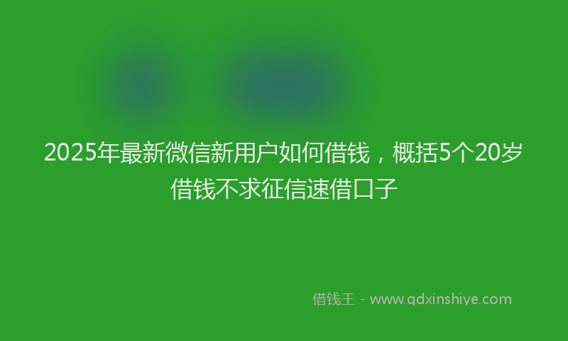 2025年最新微信新用户如何借钱，概括5个20岁借钱不求征信速借口子