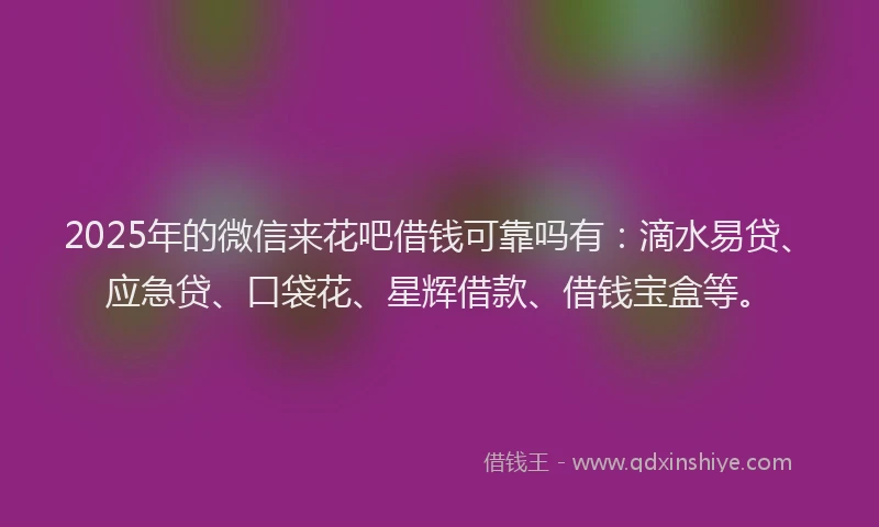 2025年的微信来花吧借钱可靠吗有：滴水易贷、应急贷、口袋花、星辉借款、借钱宝盒等。