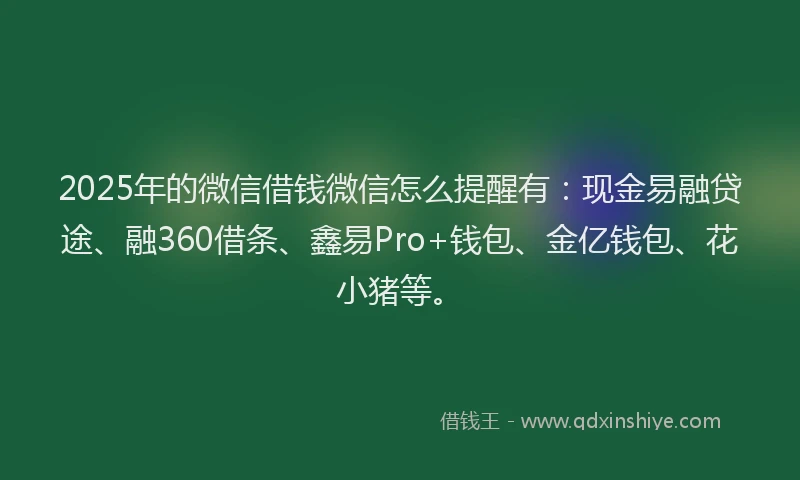 2025年的微信借钱微信怎么提醒有：现金易融贷途、融360借条、鑫易Pro+钱包、金亿钱包、花小猪等。