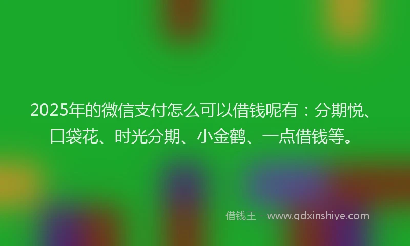 2025年的微信支付怎么可以借钱呢有：分期悦、口袋花、时光分期、小金鹤、一点借钱等。