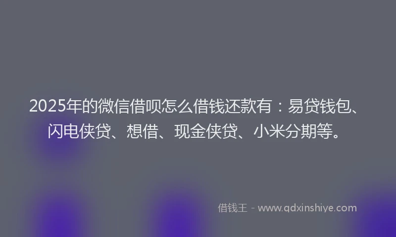 2025年的微信借呗怎么借钱还款有：易贷钱包、闪电侠贷、想借、现金侠贷、小米分期等。