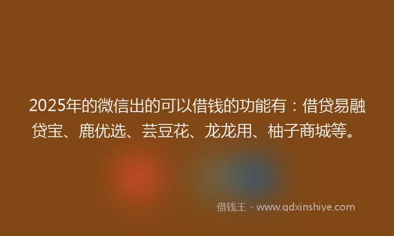 2025年的微信出的可以借钱的功能有：借贷易融贷宝、鹿优选、芸豆花、龙龙用、柚子商城等。