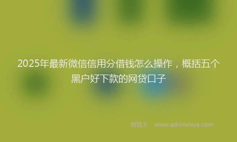 2025年最新微信信用分借钱怎么操作，概括五个黑户好下款的网贷口子