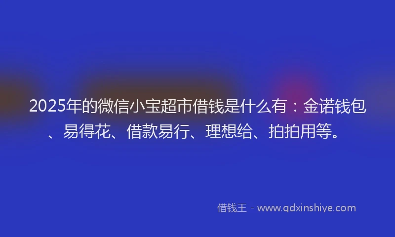 2025年的微信小宝超市借钱是什么有：金诺钱包、易得花、借款易行、理想给、拍拍用等。
