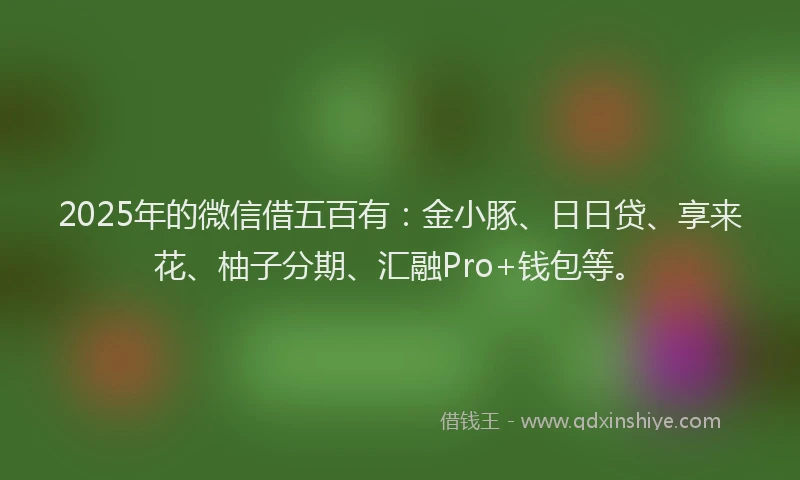 2025年的微信借五百有：金小豚、日日贷、享来花、柚子分期、汇融Pro+钱包等。