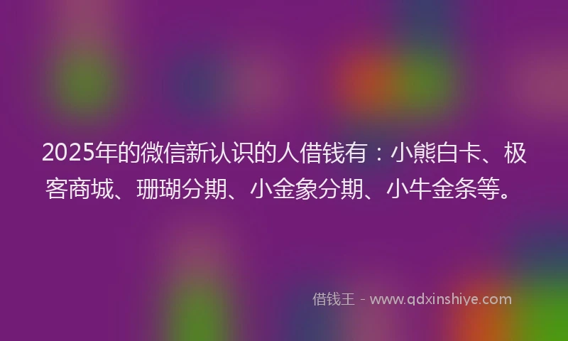 2025年的微信新认识的人借钱有：小熊白卡、极客商城、珊瑚分期、小金象分期、小牛金条等。