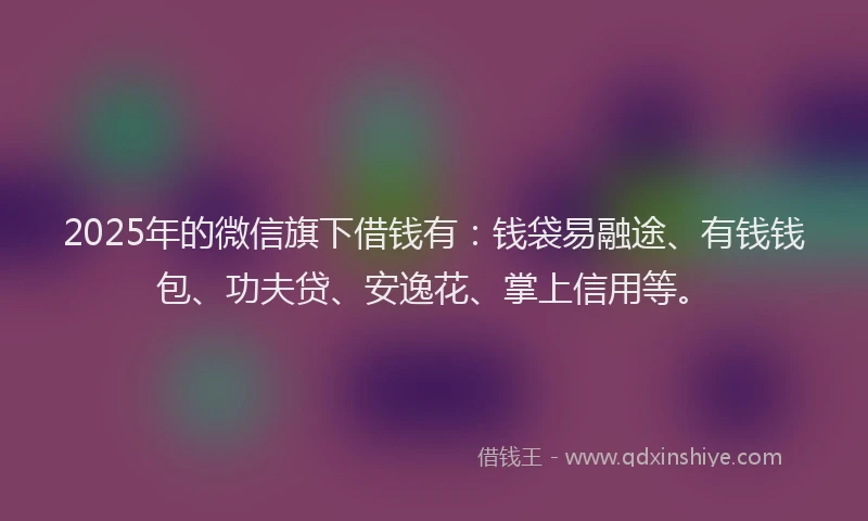 2025年的微信旗下借钱有：钱袋易融途、有钱钱包、功夫贷、安逸花、掌上信用等。