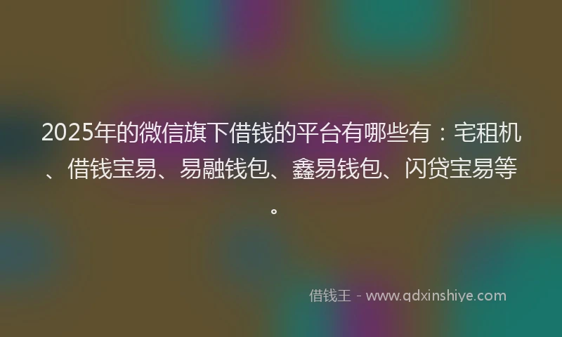 2025年的微信旗下借钱的平台有哪些有：宅租机、借钱宝易、易融钱包、鑫易钱包、闪贷宝易等。