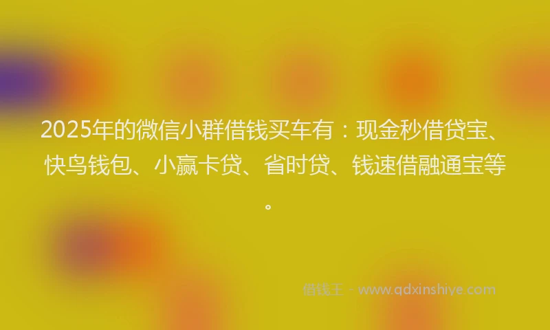 2025年的微信小群借钱买车有：现金秒借贷宝、快鸟钱包、小赢卡贷、省时贷、钱速借融通宝等。