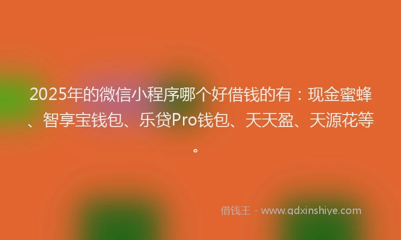 2025年的微信小程序哪个好借钱的有：现金蜜蜂、智享宝钱包、乐贷Pro钱包、天天盈、天源花等。