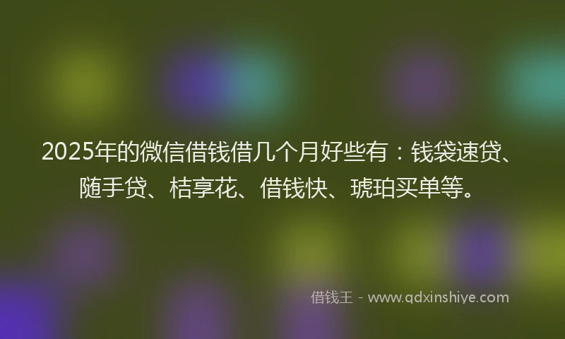 2025年的微信借钱借几个月好些有：钱袋速贷、随手贷、桔享花、借钱快、琥珀买单等。