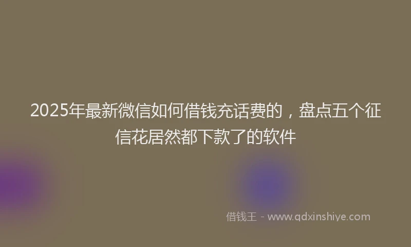2025年最新微信如何借钱充话费的，盘点五个征信花居然都下款了的软件