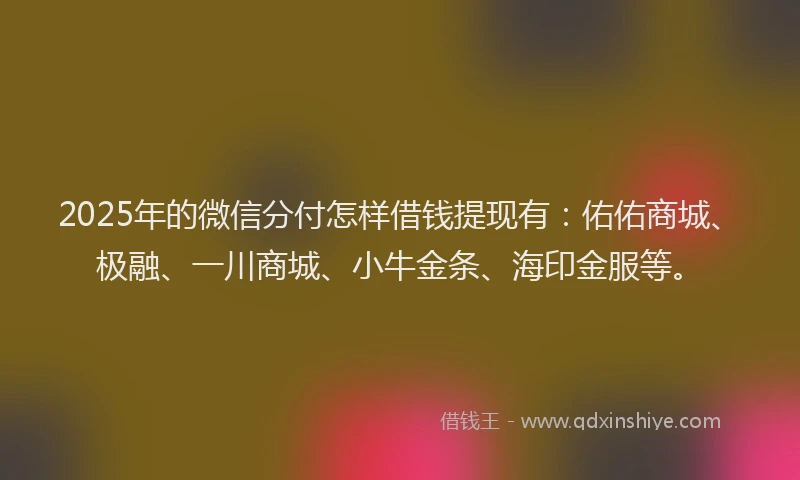 2025年的微信分付怎样借钱提现有：佑佑商城、极融、一川商城、小牛金条、海印金服等。