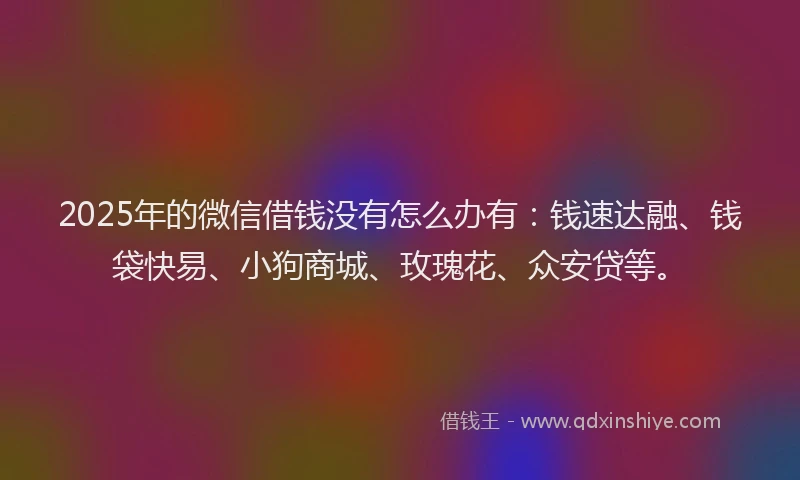 2025年的微信借钱没有怎么办有：钱速达融、钱袋快易、小狗商城、玫瑰花、众安贷等。