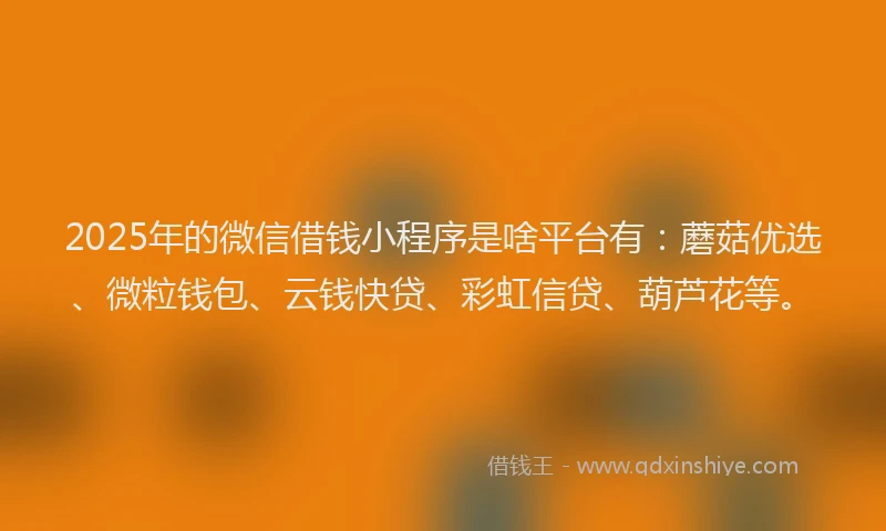 2025年的微信借钱小程序是啥平台有：蘑菇优选、微粒钱包、云钱快贷、彩虹信贷、葫芦花等。