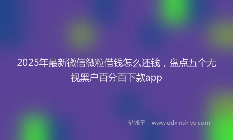 2025年最新微信微粒借钱怎么还钱，盘点五个无视黑户百分百下款app