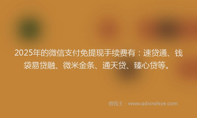 2025年的微信支付免提现手续费有：速贷通、钱袋易贷融、微米金条、通天贷、臻心贷等。