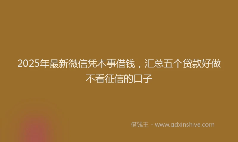 2025年最新微信凭本事借钱，汇总五个贷款好做不看征信的口子