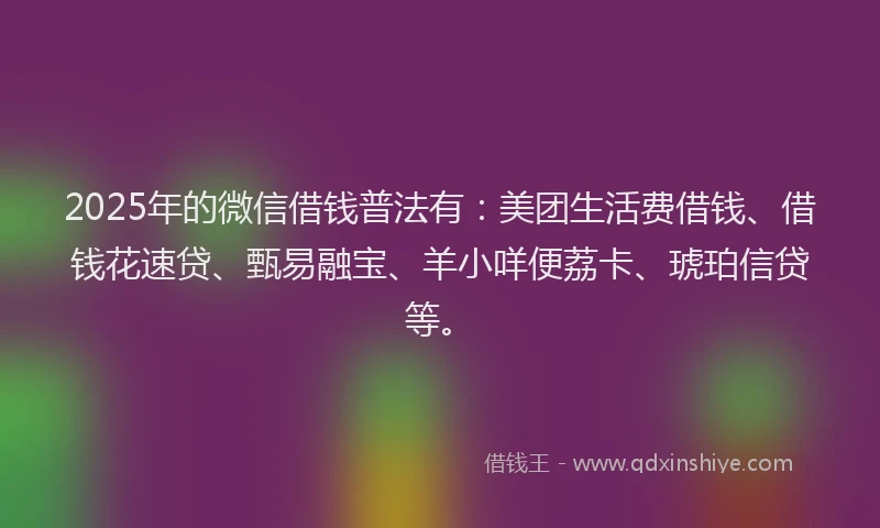2025年的微信借钱普法有：美团生活费借钱、借钱花速贷、甄易融宝、羊小咩便荔卡、琥珀信贷等。