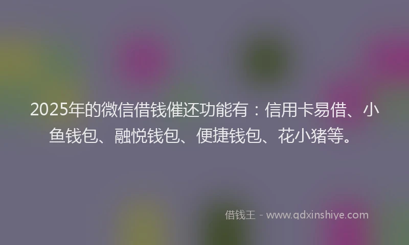 2025年的微信借钱催还功能有：信用卡易借、小鱼钱包、融悦钱包、便捷钱包、花小猪等。