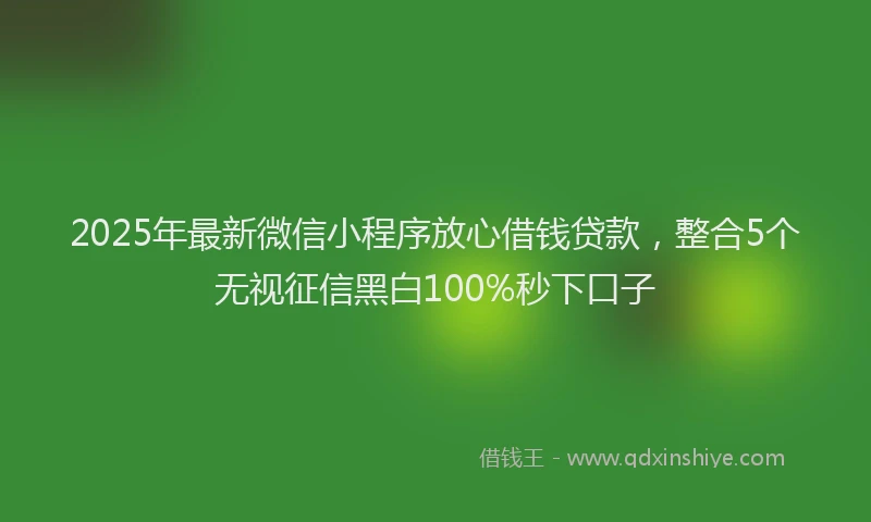 2025年最新微信小程序放心借钱贷款，整合5个无视征信黑白100%秒下口子