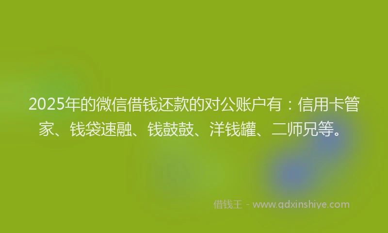 2025年的微信借钱还款的对公账户有：信用卡管家、钱袋速融、钱鼓鼓、洋钱罐、二师兄等。