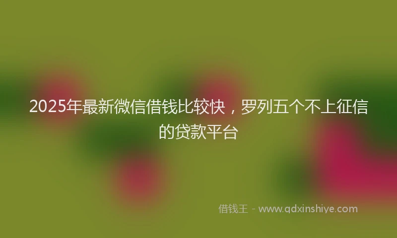 2025年最新微信借钱比较快，罗列五个不上征信的贷款平台