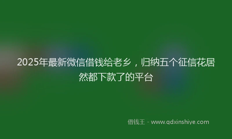 2025年最新微信借钱给老乡，归纳五个征信花居然都下款了的平台