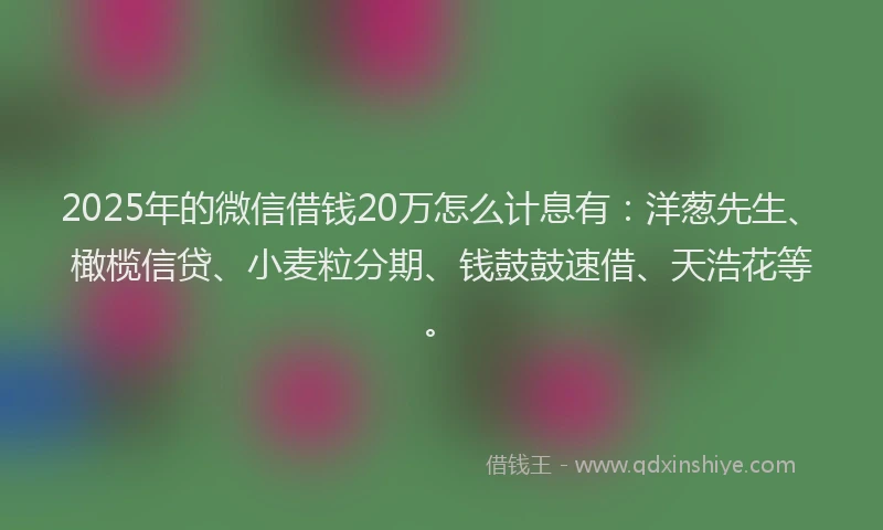2025年的微信借钱20万怎么计息有：洋葱先生、橄榄信贷、小麦粒分期、钱鼓鼓速借、天浩花等。