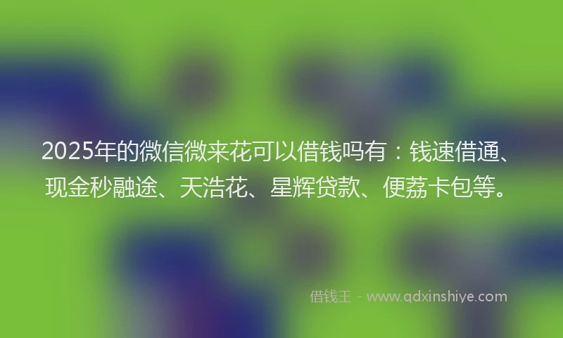 2025年的微信微来花可以借钱吗有：钱速借通、现金秒融途、天浩花、星辉贷款、便荔卡包等。