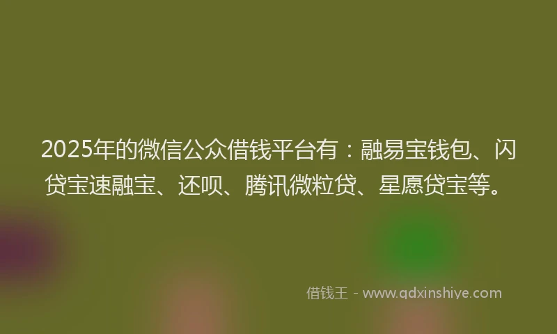 2025年的微信公众借钱平台有：融易宝钱包、闪贷宝速融宝、还呗、腾讯微粒贷、星愿贷宝等。